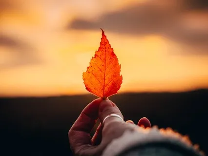 You Are Not Responsible For Other's Happiness