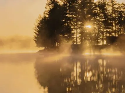 You Are Not Too Much: A Meditation For Coming To Yourself