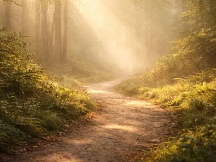 You Are Not What Hurt You