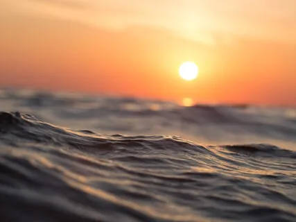 You Are Not What You Feel