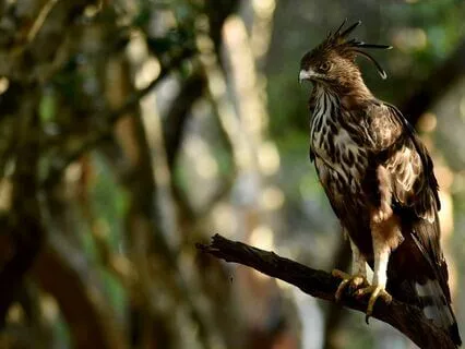 You Are Not Your Addiction: Reflections On Addiction