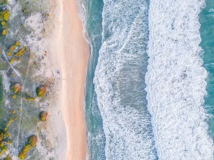 You Are Not Your Business