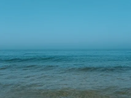 You Are Not Your Mind - Lecture