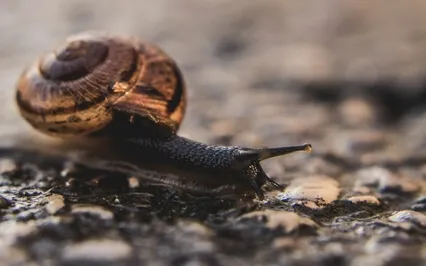 You Are Not Your Shell: Shifting Identity From Body To Soul