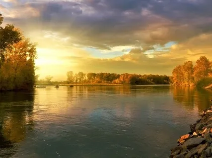 You Are Not Your Thoughts | Guided Meditation Included