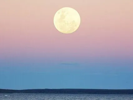 You Are Not Your Thoughts - Stop Overthinking