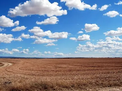 You Are Not Your Thoughts