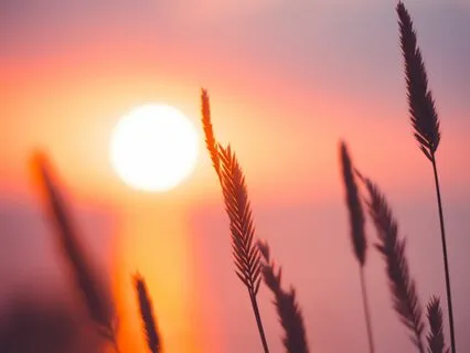 You Are Not Your Worries