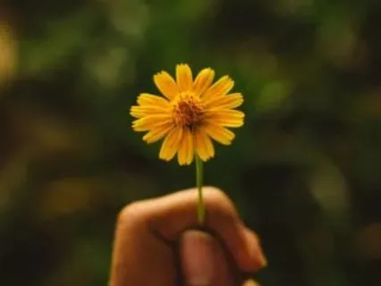 You Are Not Your Worst Moment: A Self-Forgiveness Meditation
