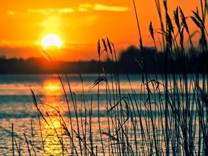 You Are OK, You Are Safe:  Finding Your Way Out Of Distress