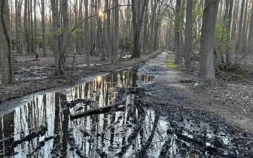 You Are One - A Transformational Path Through Nature