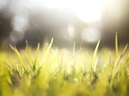 You Are One With The Universe