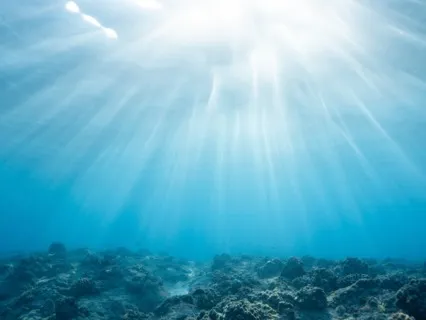 You Are Precious Meditation