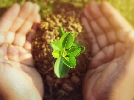 You Are Safe: Prayer For Moms