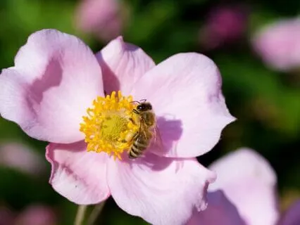 You Are Right Where You Need To Be