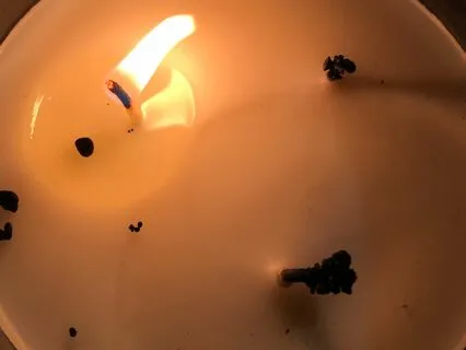 You Are Rising Tarot Reading