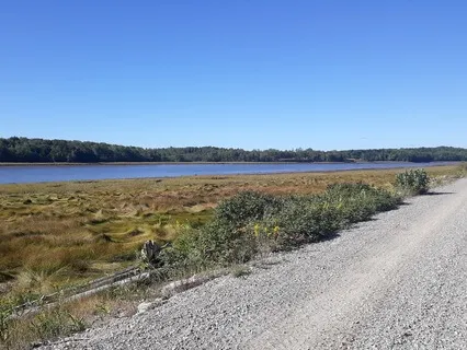 You Are Safe Affirmations