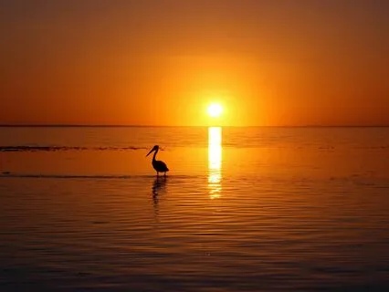 You Are Safe -  Meditation For Anxiety & Fear Relief