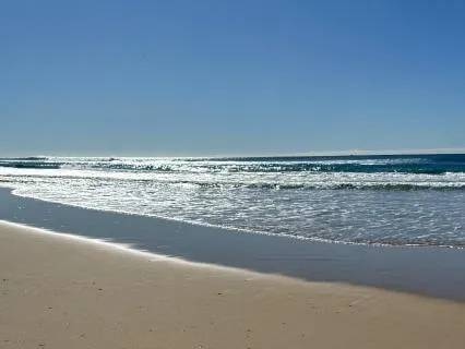 PTSD Reset -  Part 1: Stress & Anxiety Breathwork