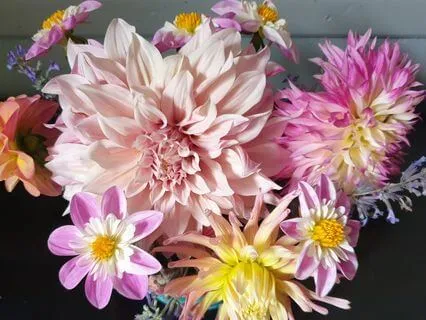 You Are Safe To Be Seen