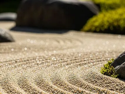 You Are Safe To Have A Lot Of Money