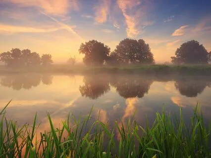 You Are Shifting! 369 Hz + 528 Hz Tuning Forks