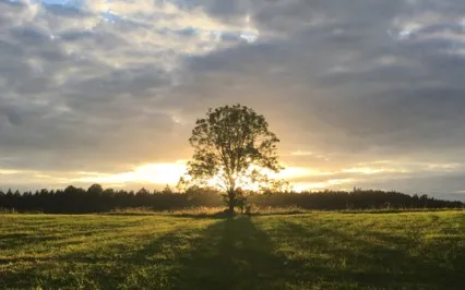 You Are / I Am (Good, Worthy, Enough)