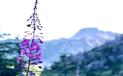 You Are So Good Meditation