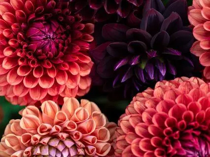 You Are Still Becoming