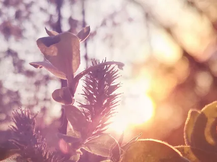 You Are Such A Delight