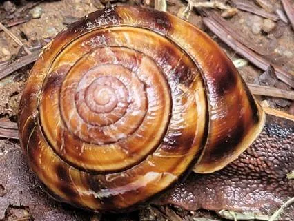 You Are The Answer: A Reflection On Love, Trust, And Self