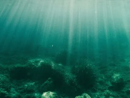 You Are The Beloved 528 Hz: Floating In The Womb Of Life