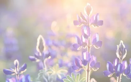 You Are The Canvas Not The Paint