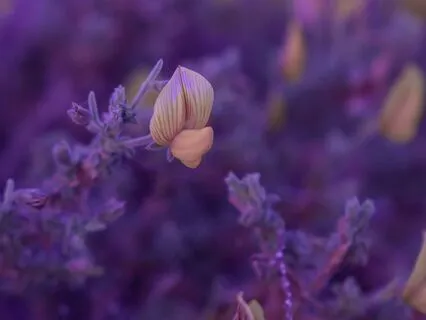 You Are The Channel: Activate Your Psychic Vision Today