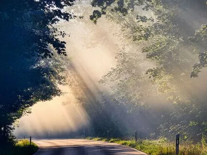 You Are The Light: Poem