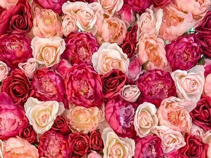 You Are The Love You Seek