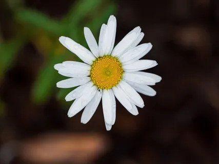 You Are The Prayer - A Blessing For Daily Life