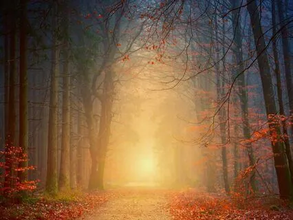 You Are The Right Parent For This Child