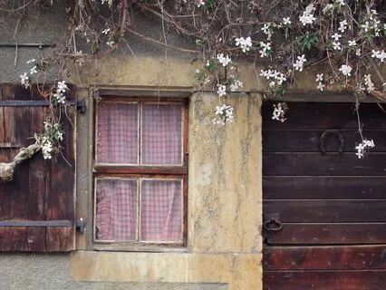 You Are The Sanctuary