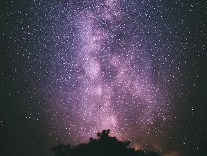 You Are The Universe