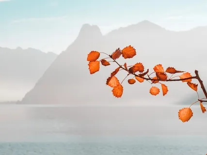 You Are Timeless | Discover The Power Of Now 