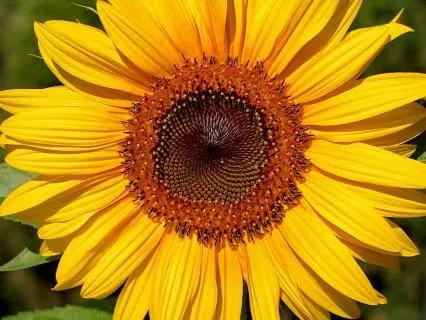 You Are Unique - A Meditation For Self Love And Belonging