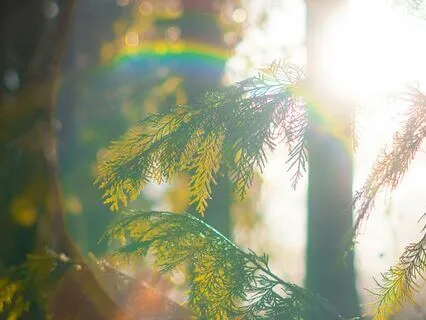 You Are Worth Showing Up For