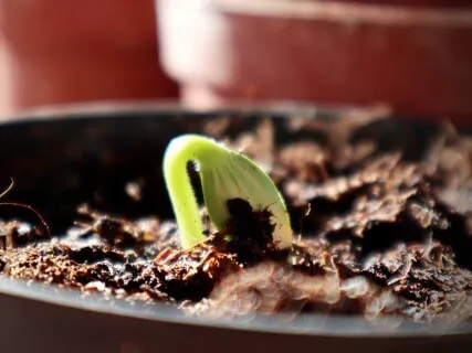 You Are Worth Waiting For