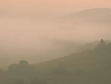 You Are Worthy Of Love: A Healing Journey Back To Yourself