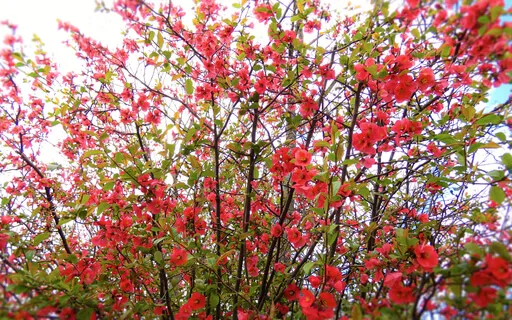 You Are Worthy; You Belong