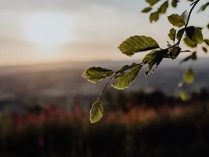 You, As A Channel Of Creation