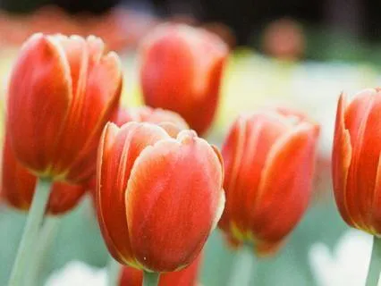 You, Beautiful Soul, Are Loved