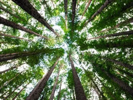 You Belong: Vibrant& Life-Enhancing Meditation