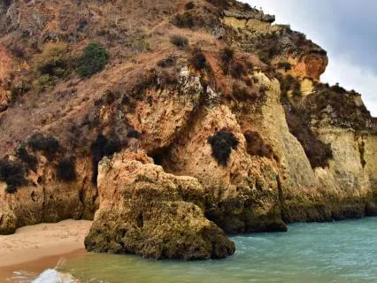 You Came Here For Love